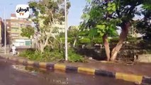 تداعيات عاصفة أسوان.. غرق الشوارع وسقوط الأشجار