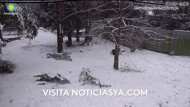 Noticias Wichita 10pm 020221