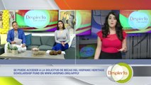 Despierta Orlando 020321 - Paula Machado