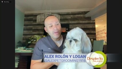 Despierta Orlando 012221 - Alex y Logan