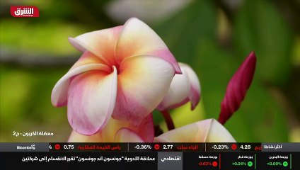 ...ومدرج جيد ورائع . كيف كان ذلك ؟ أن شعورا...