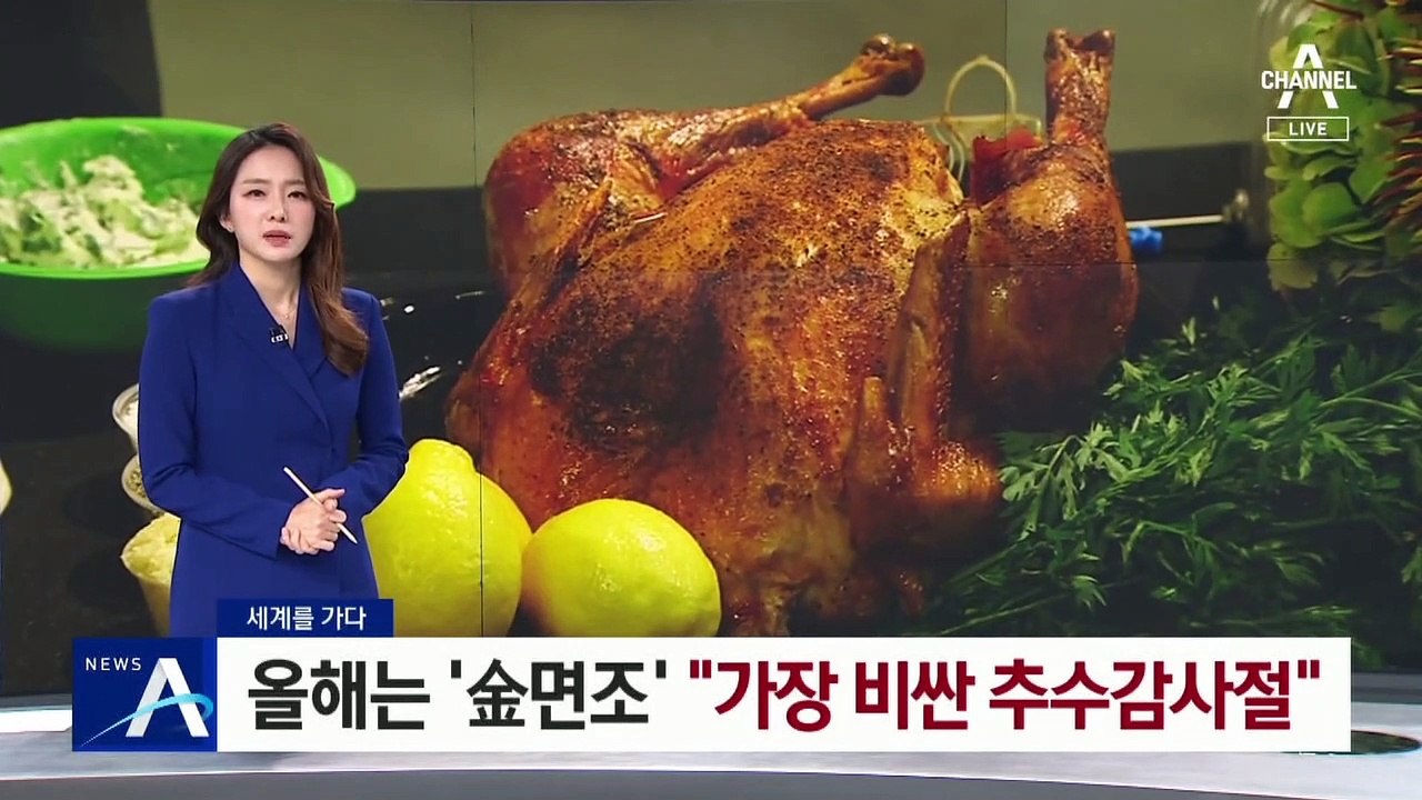 [세계를 가다]올해는 ‘金면조’…“가장 비싼 美 추수감사절”