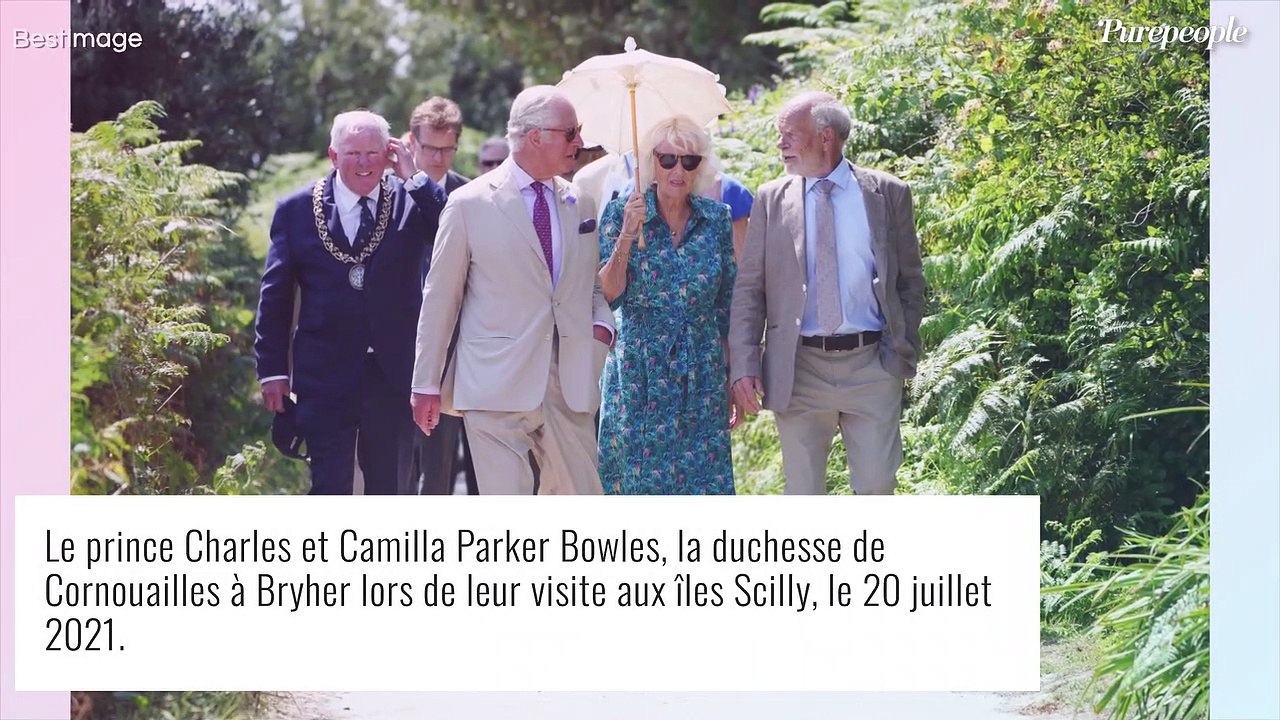 Prince Charles : Son prétendu "fils caché", Simon Dorante-Day, se réjouit de la mort de sa mère adoptive