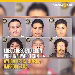 Seis reclusos escaparon de prisión en California con una cuerda formada por sábanas