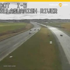 Arrestado por conducir con su perro al volante