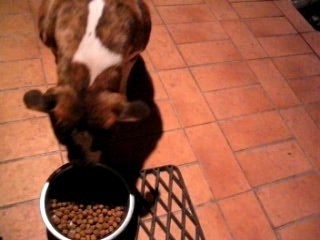 Ucé a l'heure du repas