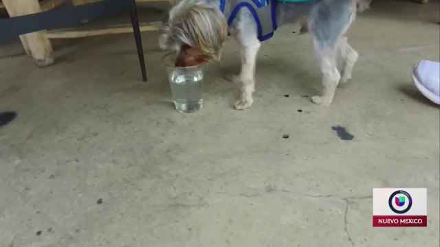 Noticias Nuevo Mexico 10pm 010121