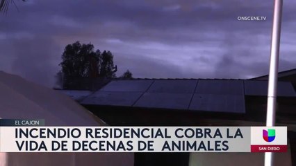 Noticias San Diego 6pm 010821 - Clip EL CAJON FIRE