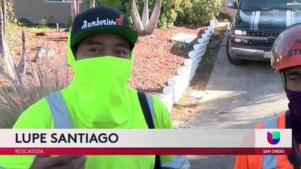 Noticias San Diego 6pm 010521 - Clip ESCONDIDO TREE
