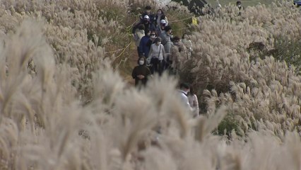 추위 물러나면서 나들이객 북적...가을·겨울 풍경 만끽 / YTN