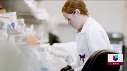 Noticias Univision Colorado a las 5 - Encuentro comunitario sobre la vacuna de COVID-19