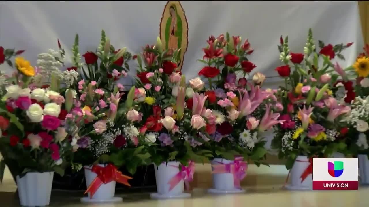 Virgen de Guadalupe DC