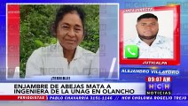 ¡Terrible! Enjambre de abejas mata a ingeniera de la UNAG en Olancho