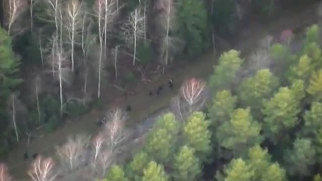 Polonia informa de diecisiete mil intentos ilegales de cruzar su frontera este octubre