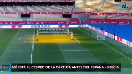 Así está el césped de La Cartuja antes del España - Suecia