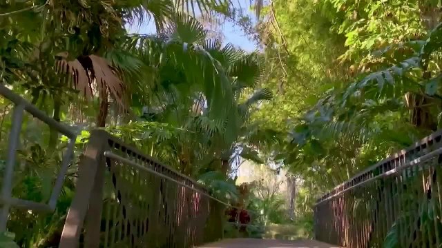 Edicion Digital Orlando 121520