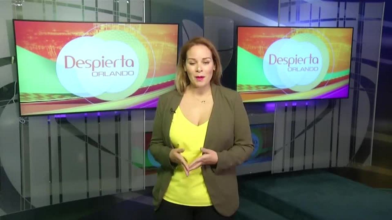 Despierta Orlando 111720 - jennyfer