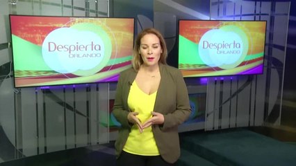 Despierta Orlando 111720 - jennyfer