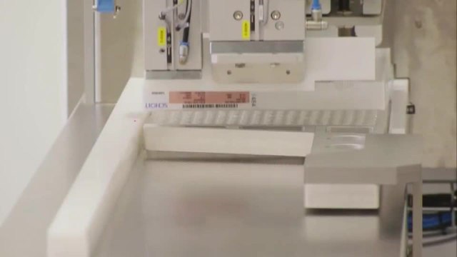 Despierta Orlando 111020 - Ligia