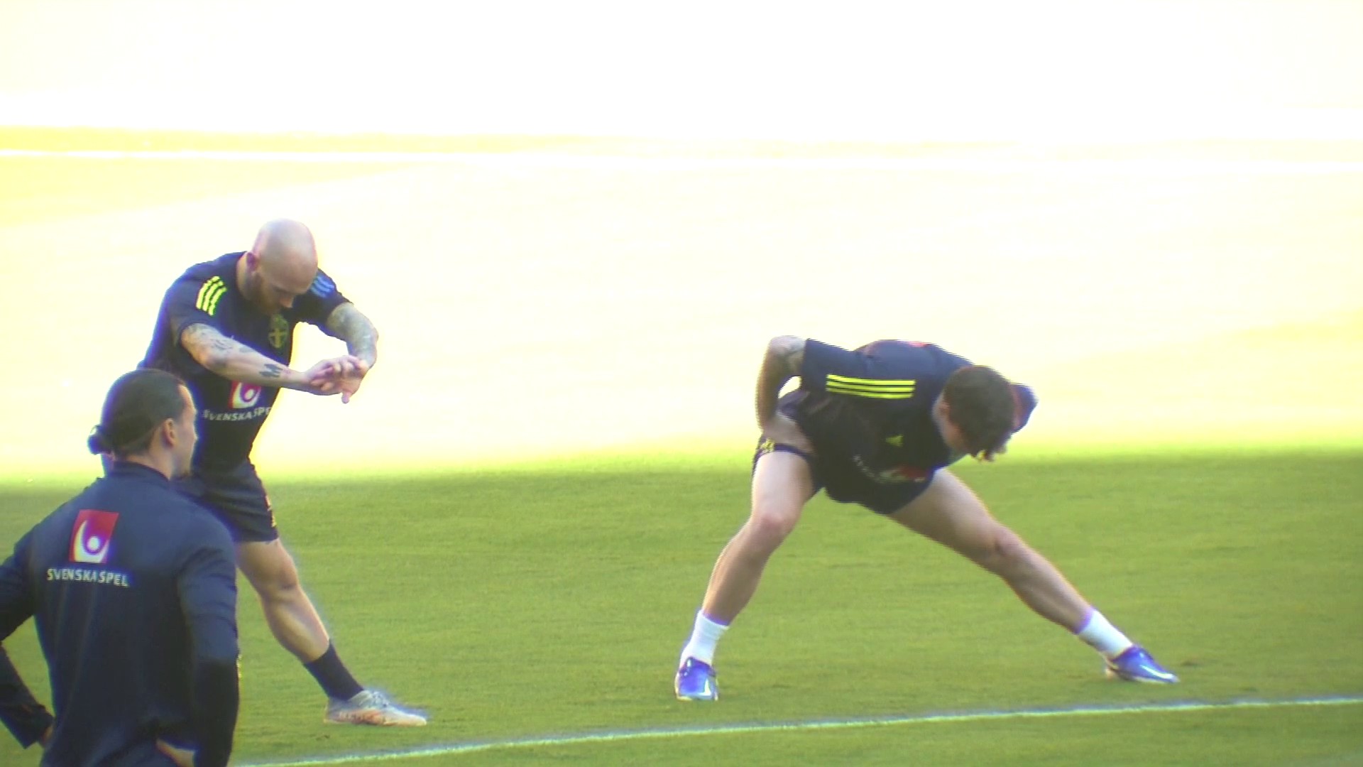 Ibrahimovic and Sweden teammates train ahead of Spain World Cup qualifier.mp4
