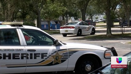 Ferretti-Candidatos Alguacil Hillsborough