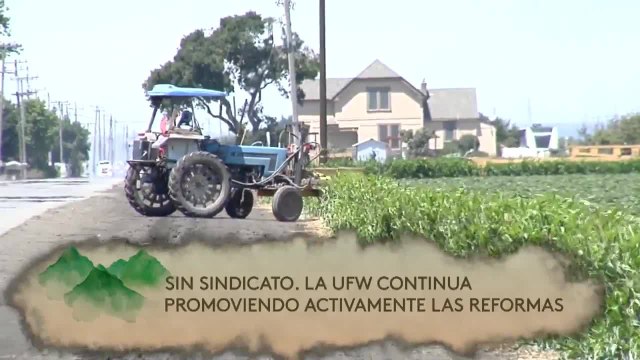 Noticias Costa Central 6pm 091620 - Clip