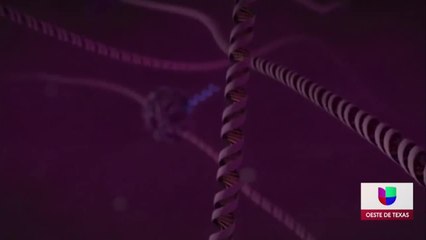 Noticias Midland 5pm 120320