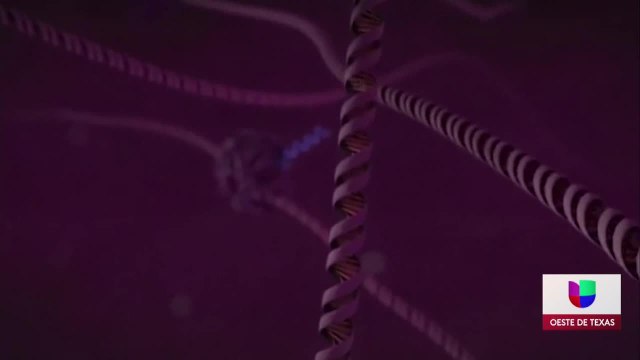 Noticias Midland 5pm 120320