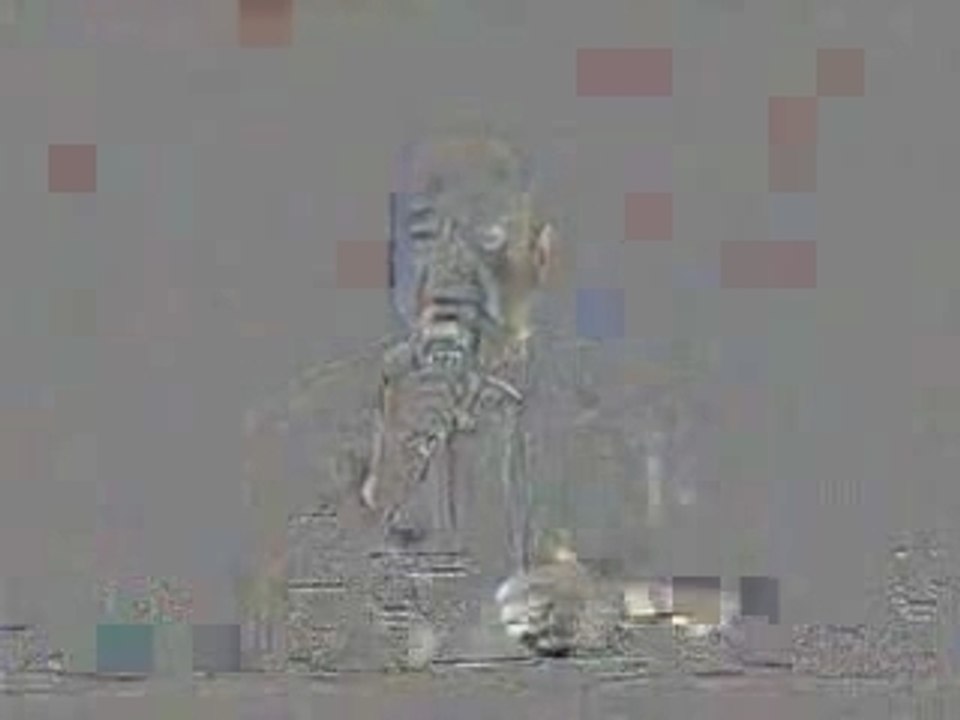 chirac le bruit et l'odeur des immigrés