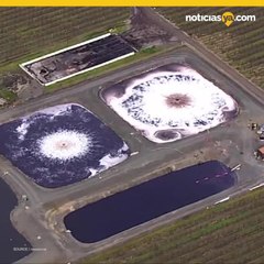 97 mil galones de vino se derraman en viedo de California