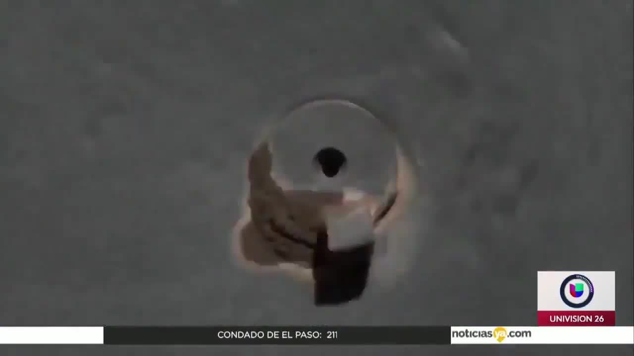 PROTESTA KARLA