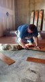 Basset Hound Helps Dad Lay Laminate