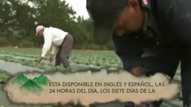 Noticias Costa Central 11pm 091720 - Clip censo patrocinio MONTEREY FARMWORKERS