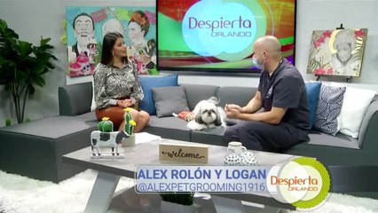 Despierta Orlando 111320 - Logan