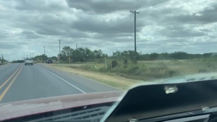 WhatsApp Video 2020-11-16 at 5.33.55 PM (1).mp4