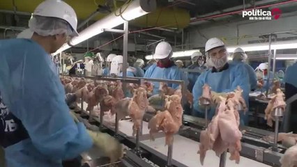 PY104_MALOUF - Large 540p