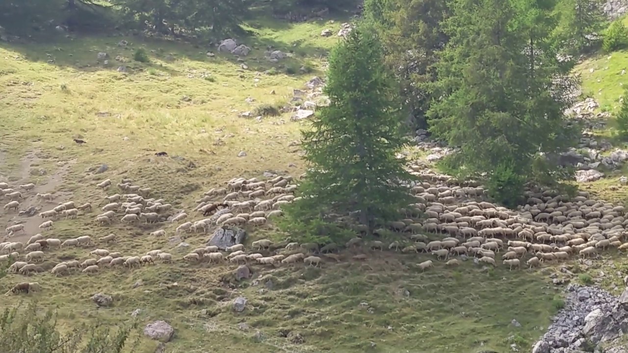 Font Renarde, boucle rando à Réallon