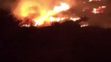 Batı Şeria'da çıkan yangında 50 zeytin ağacı küle döndü