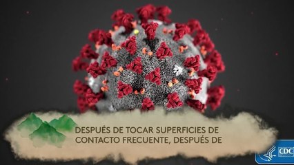 Noticias Costa Central 6pm 073120 - Clip