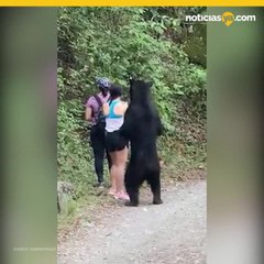 VIDEO: Oso acorraló a tres mujeres en parque ecológico de México