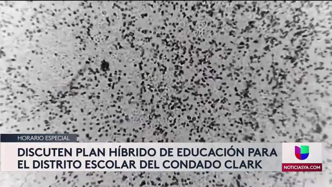 Ccsd 6PM 10-22-2020 - Clip