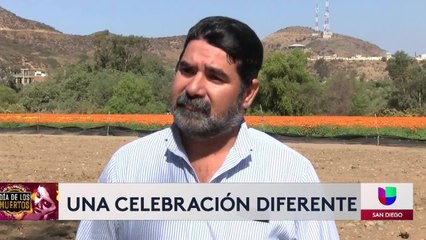 ¿Qué retos enfrenta la celebración del día de los muertos durante  la pandemia?