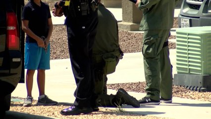 5PM HORRIZON BARRICADE PKG