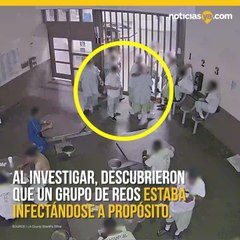 Presos se contagian de coronavirus a proposito para ser libres