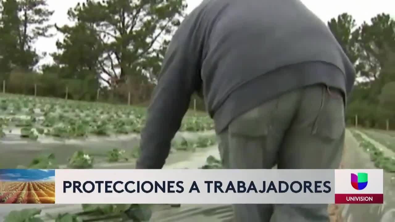 Campesinos apoyo