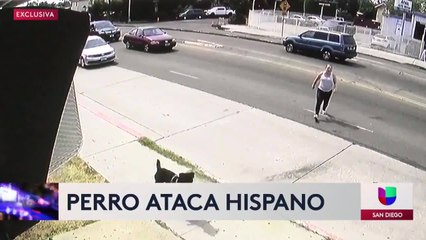 Perro ataca a un hombre hispano en City Heights
