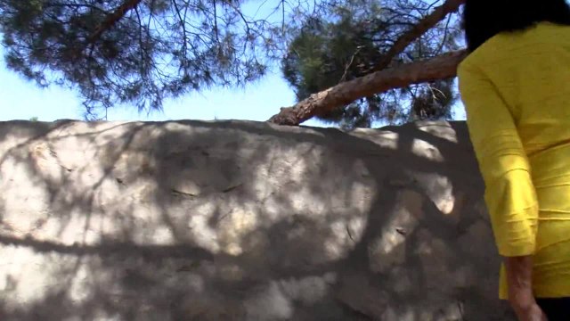 10PM BUG INFESTATION PKG