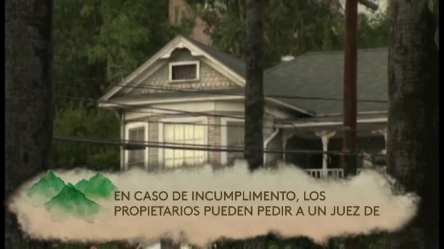 Noticias Costa Central 6pm 090820 - Clip