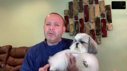 Despierta Orlando 050120 - LOGAN