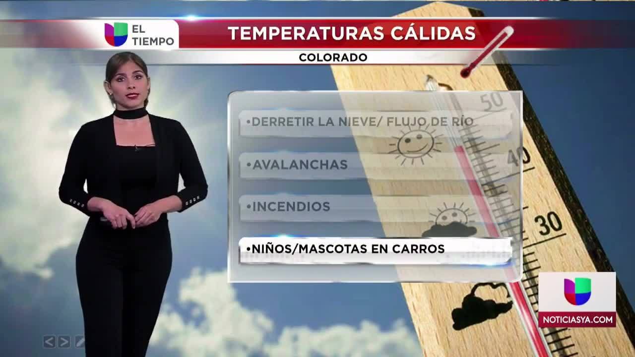 Pronóstico Lucy - Clip